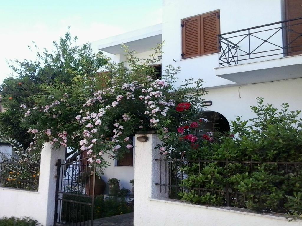 Karagiozos Studios & Apartments สโกเปลอสทาวน์ ภายนอก รูปภาพ